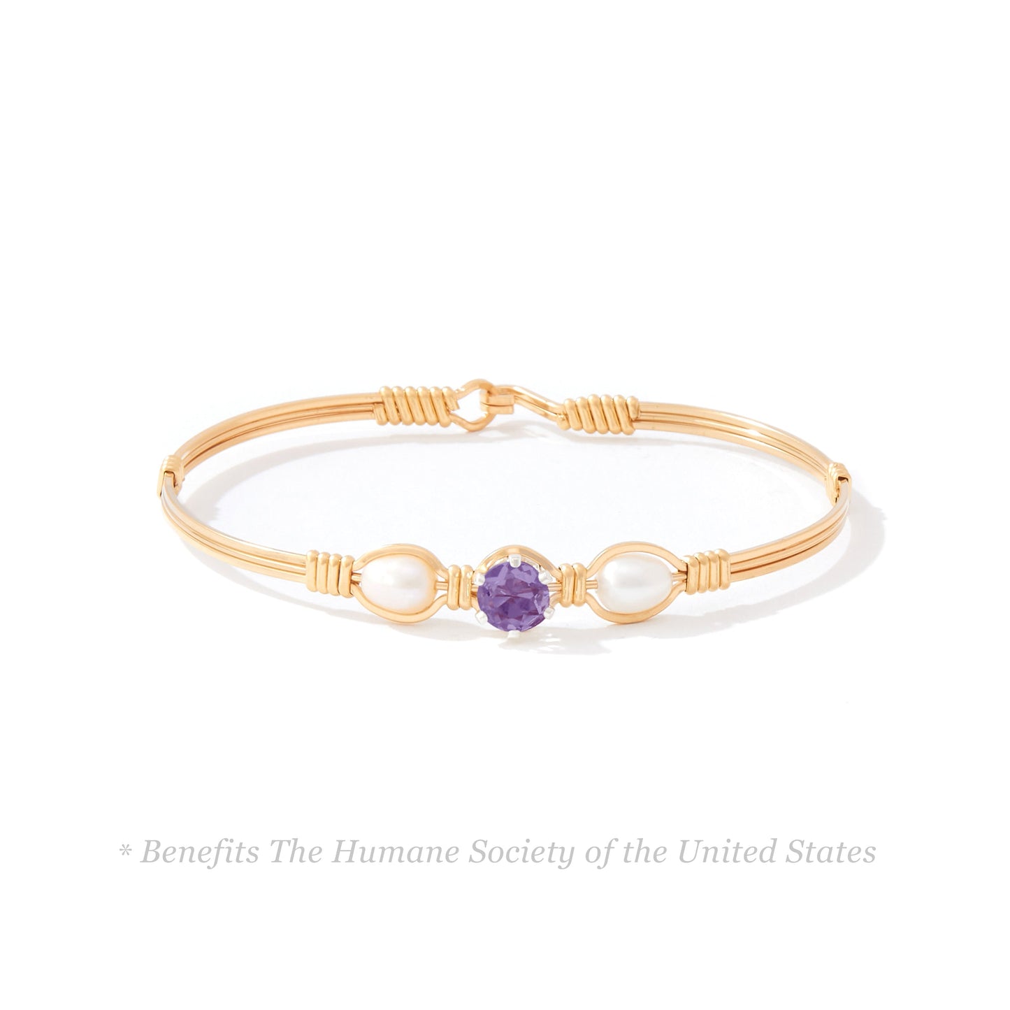 Puppy Love Bracelet in 14K Gold Artist Wire