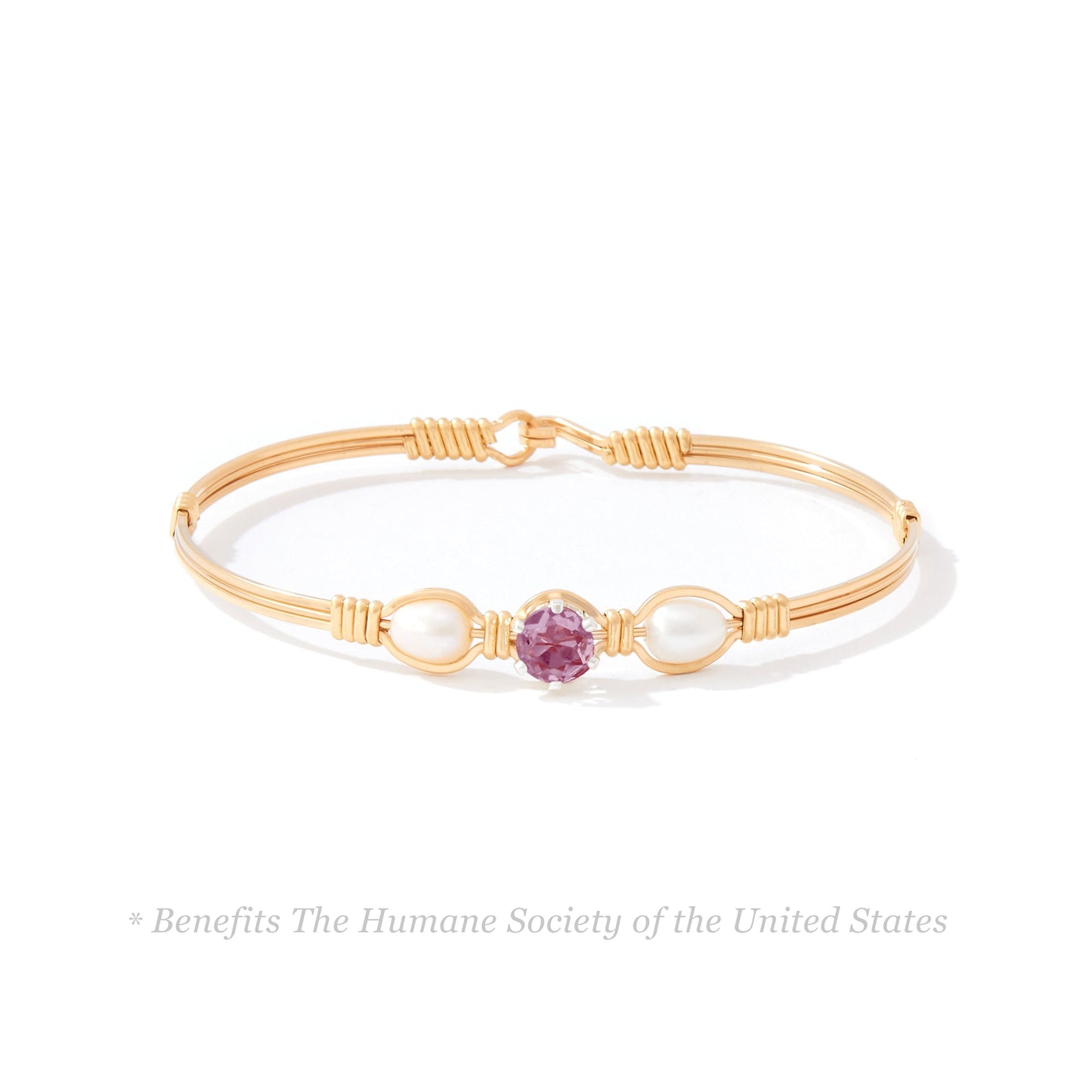 Puppy Love Bracelet in 14K Gold Artist Wire