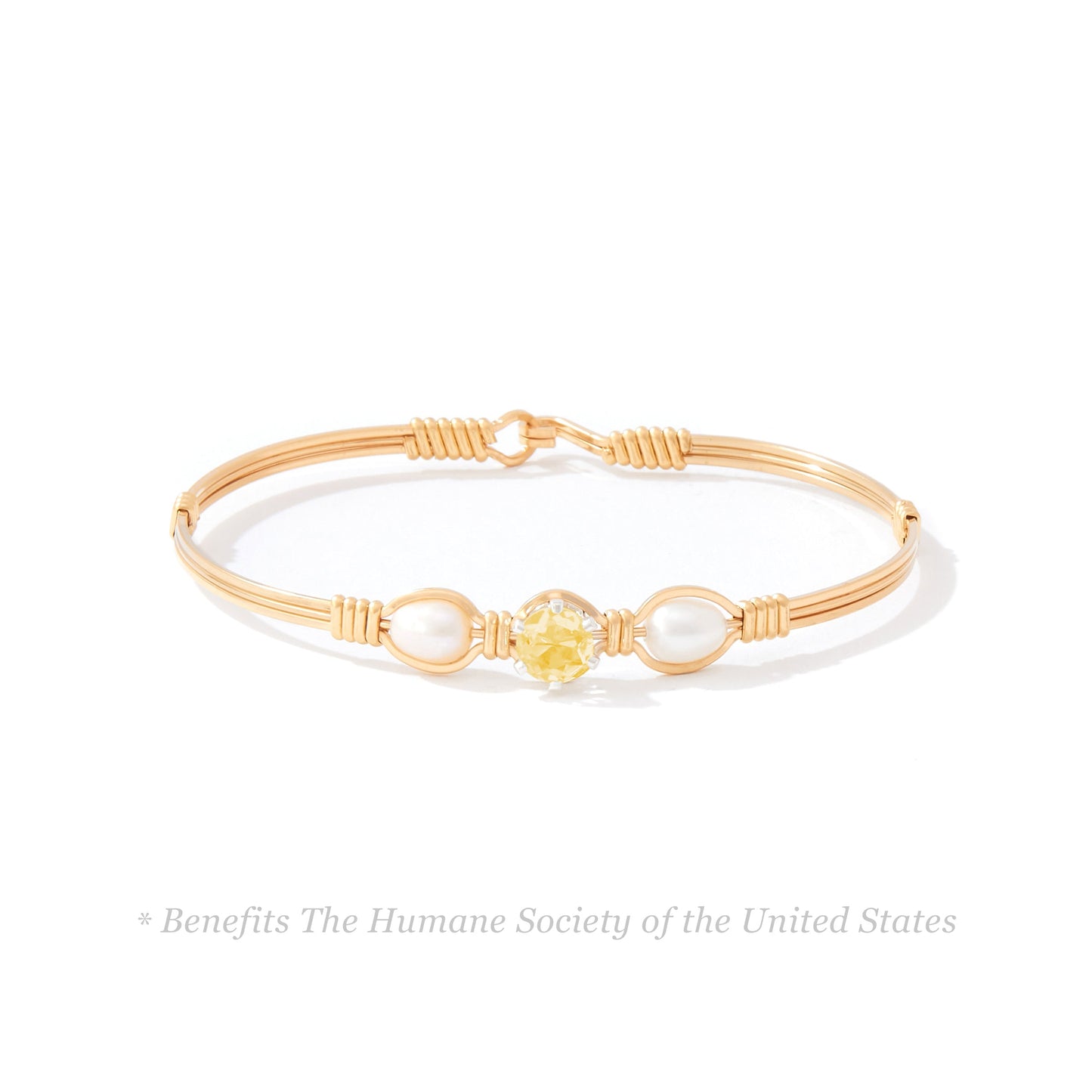 Puppy Love Bracelet in 14K Gold Artist Wire