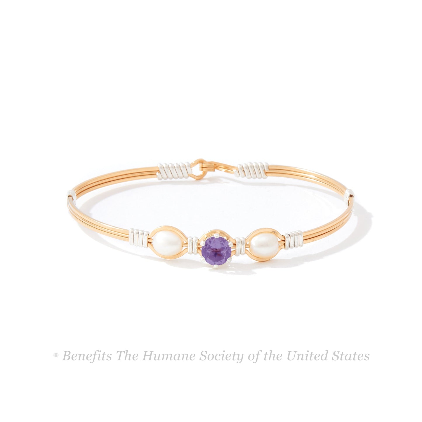 Puppy Love Bracelet in 14K Gold Artist Wire with Sterling Silver Wraps