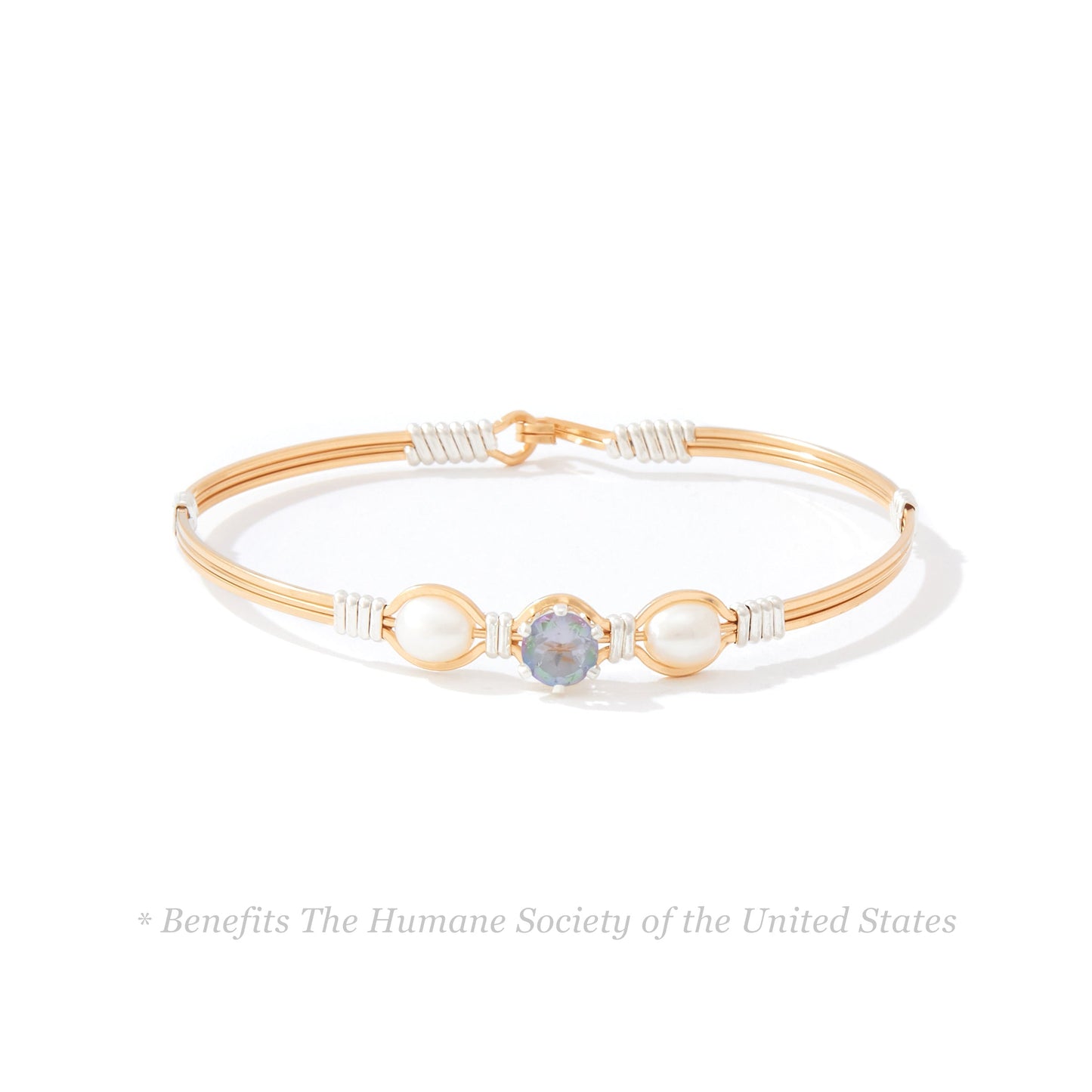 Puppy Love Bracelet in 14K Gold Artist Wire with Sterling Silver Wraps