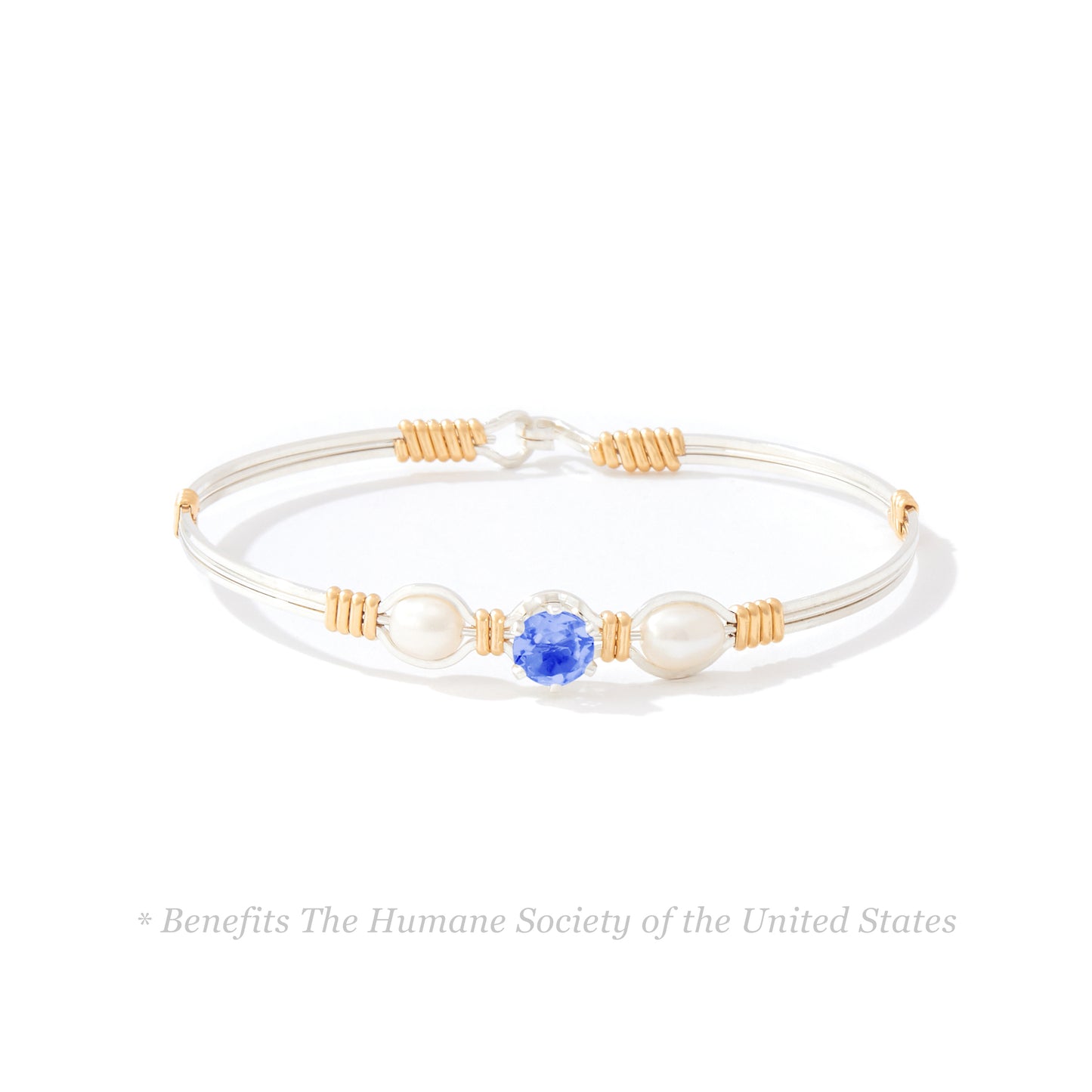 Puppy Love Bracelet in Sterling Silver with 14k Gold Artist Wire Wraps