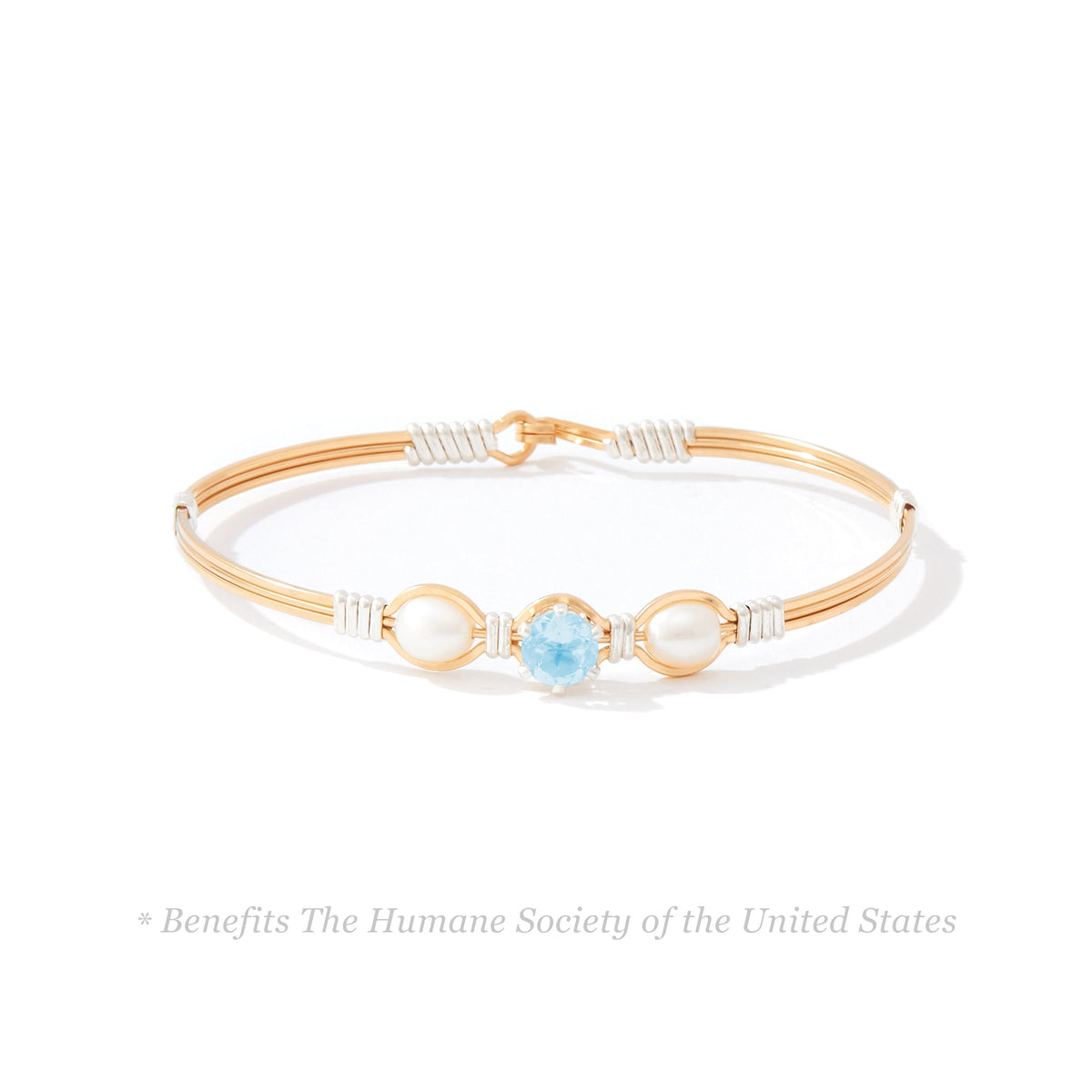 Puppy Love Bracelet (Mixed Metal)